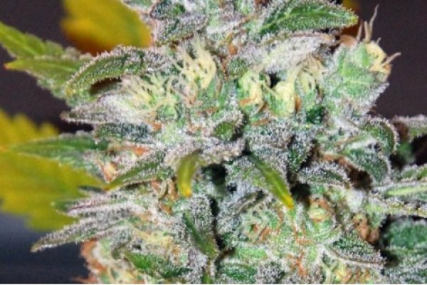 Кракен перейти