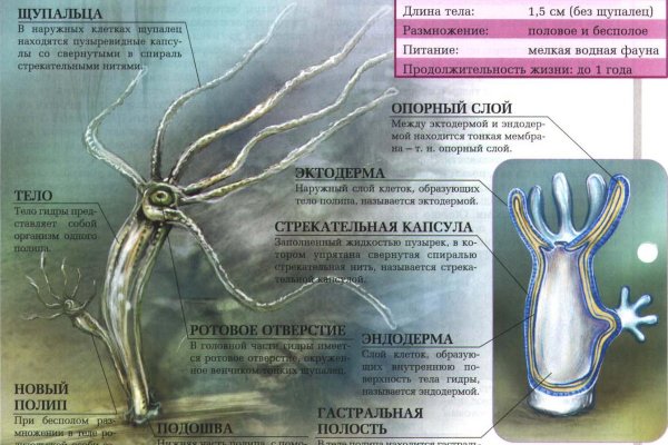 Кракен наркота что это