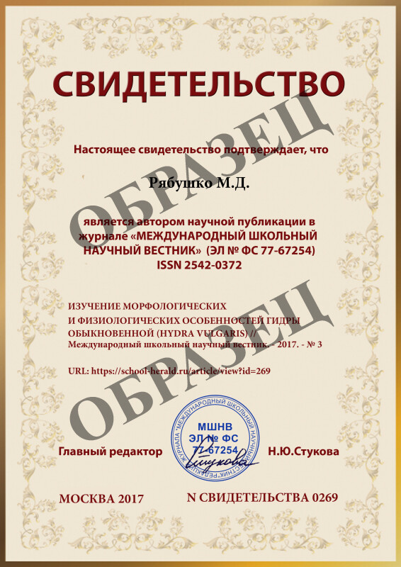 Кракен что можно купить
